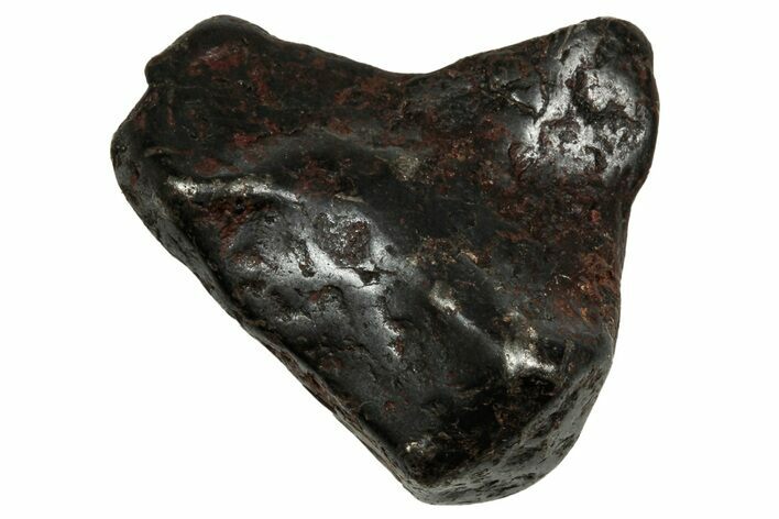 Canyon Diablo Iron Meteorite ( g) - Arizona #336029